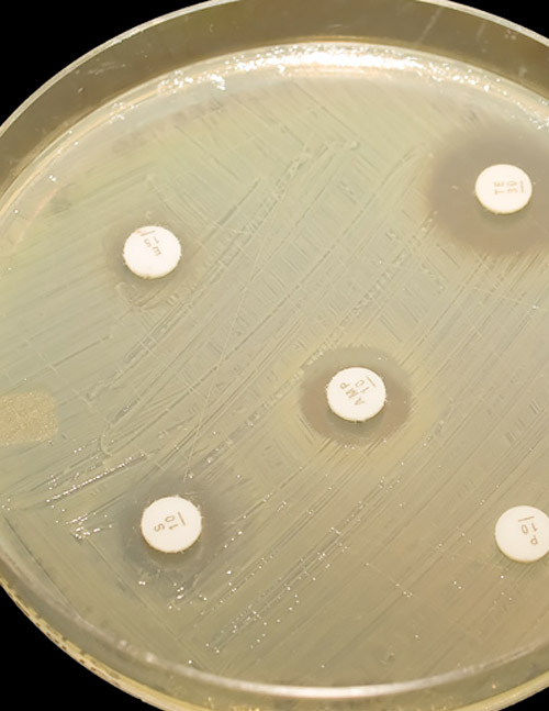 Repositionnement des médicaments