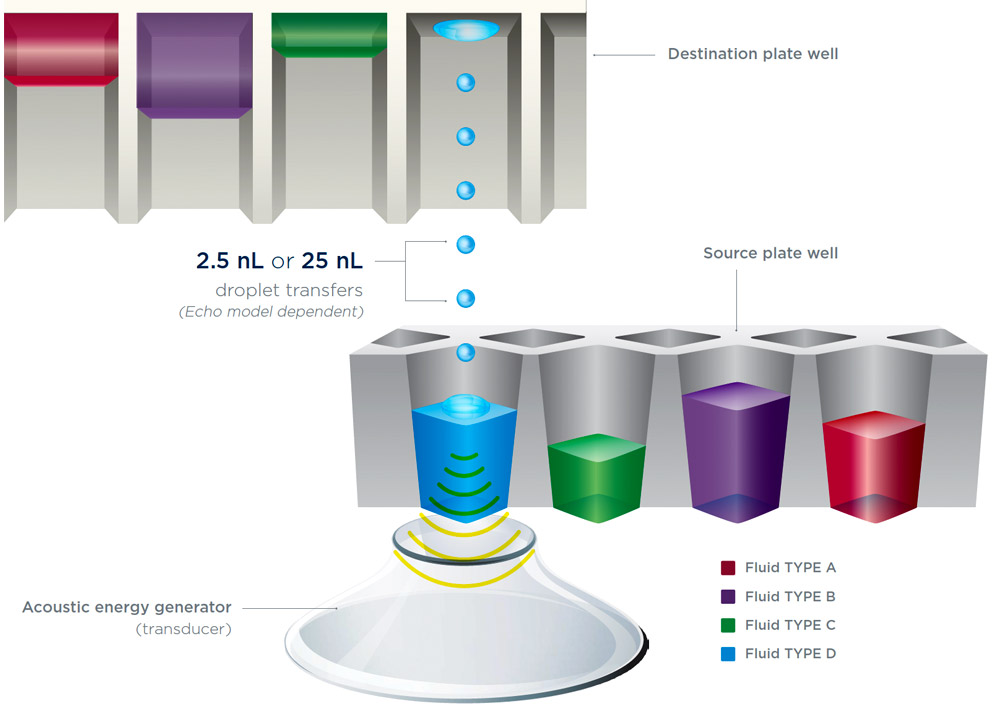 La Technologie acoustique Echo