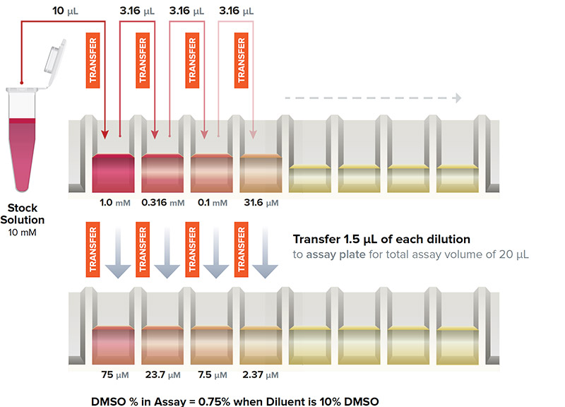 Traditional Serial Dilution Workflow