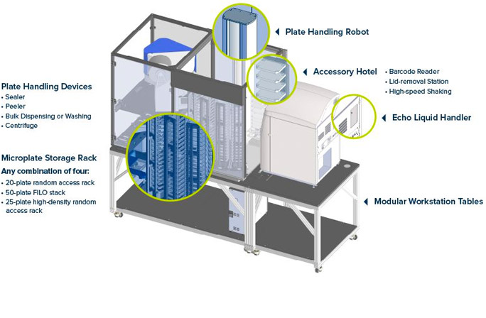 Assay-ready Plate Preparation