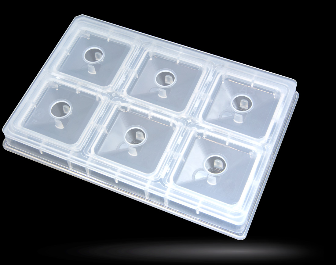 Echo Qualified Reservoir