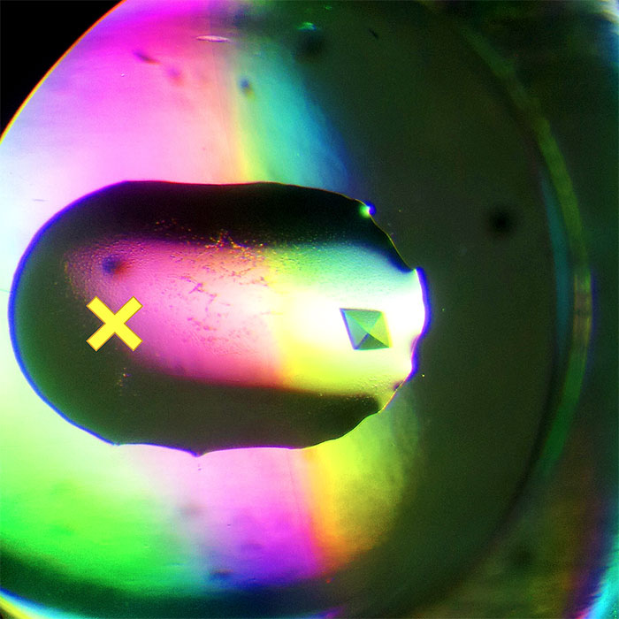 Echo dispensing liquid into a well