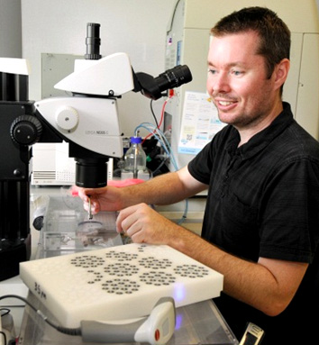 Patrick Collins, Diamond