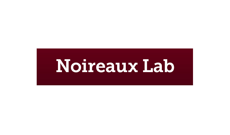 Noireaux Lab