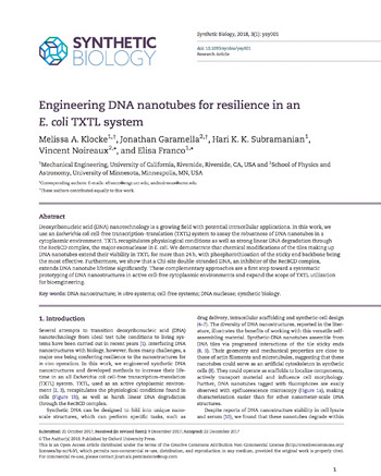 Engineering DNA nanotubes for resilience in an E. coli TXTL system