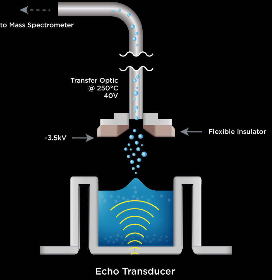 Echo MASS SPECTROMETRY